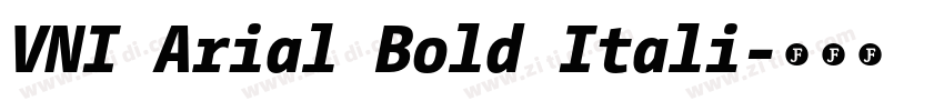 VNI Arial Bold Itali字体转换